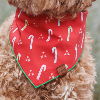 Candy Cane Pet Bandana