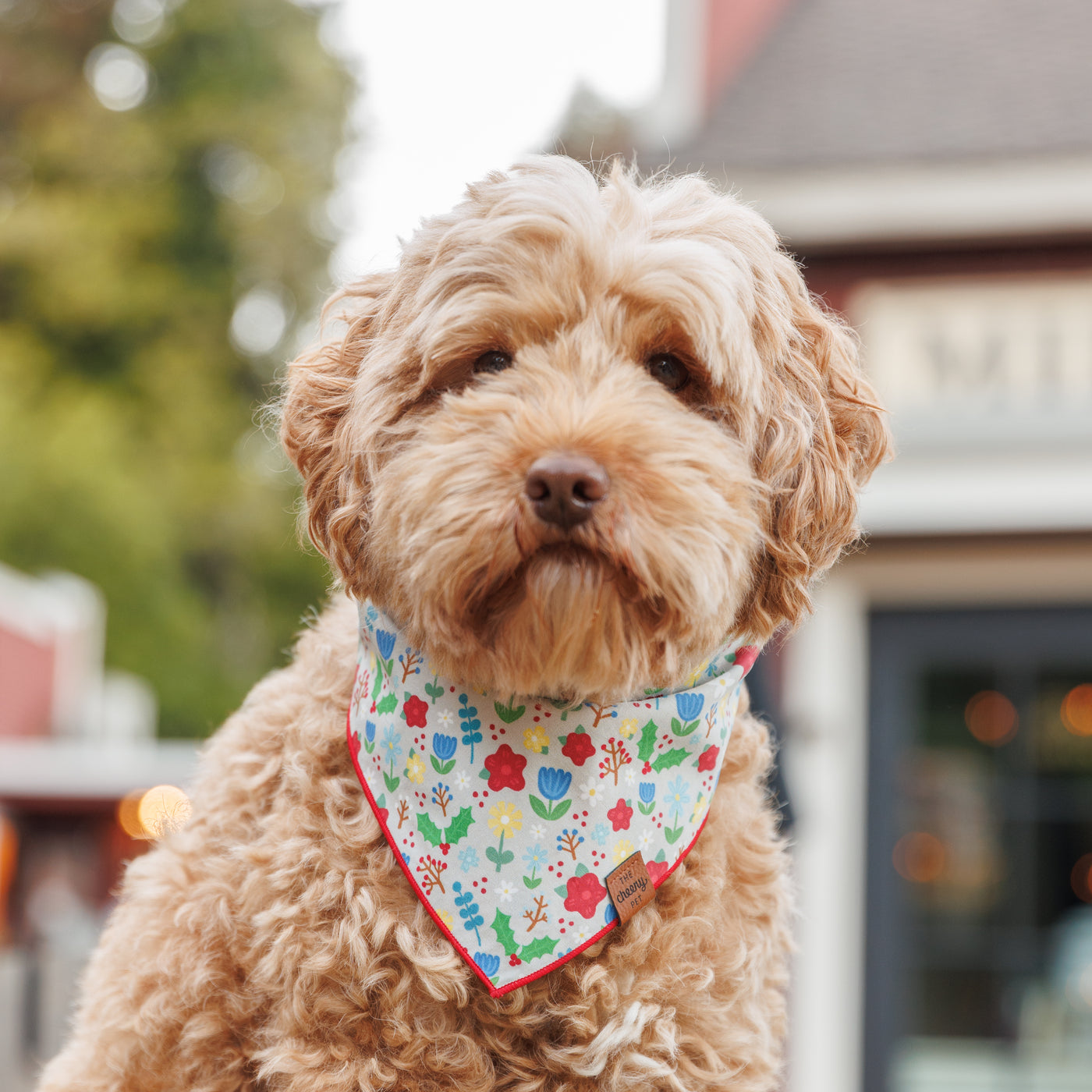 Winter Floral Pet Bandana