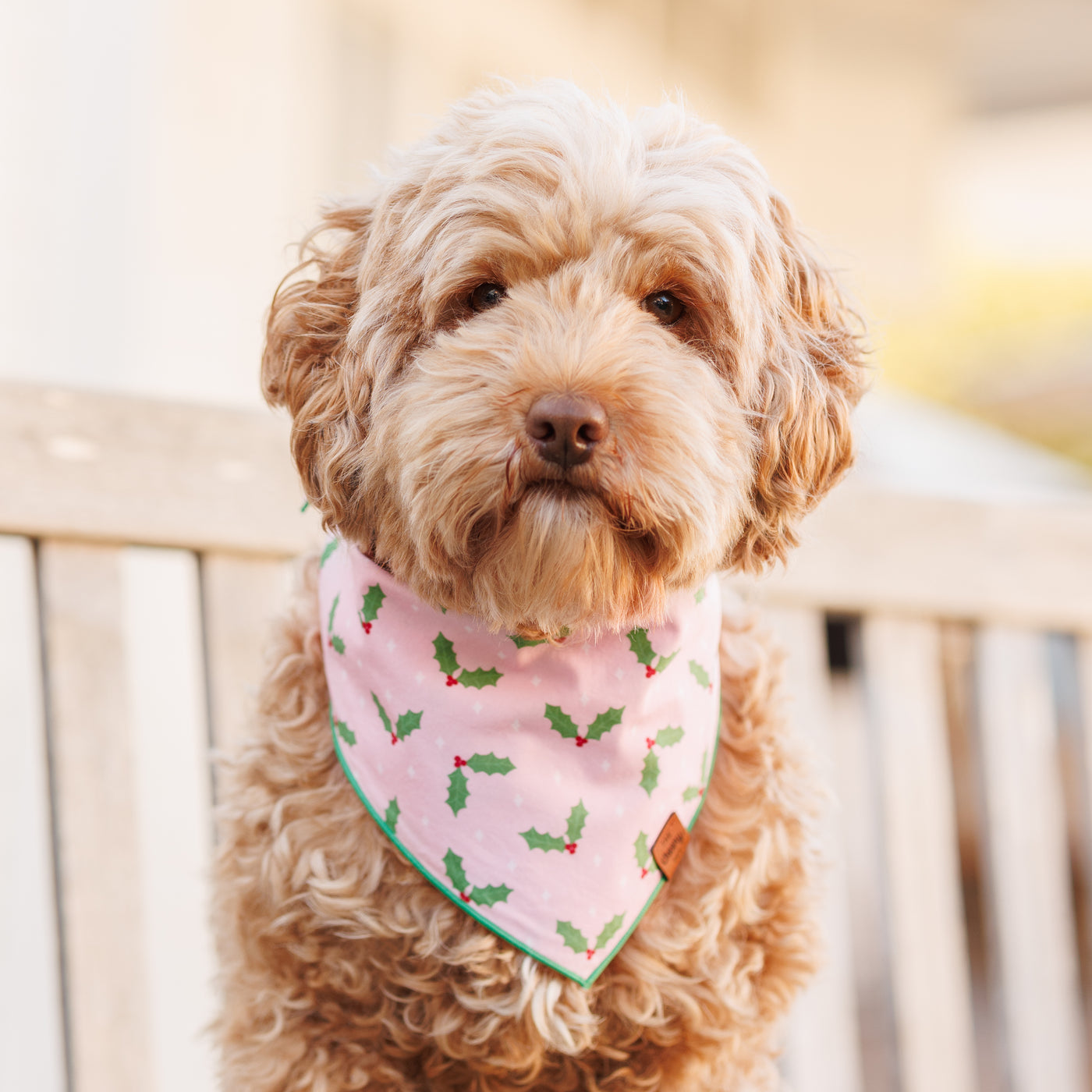 Holly Pet Bandana - Pink