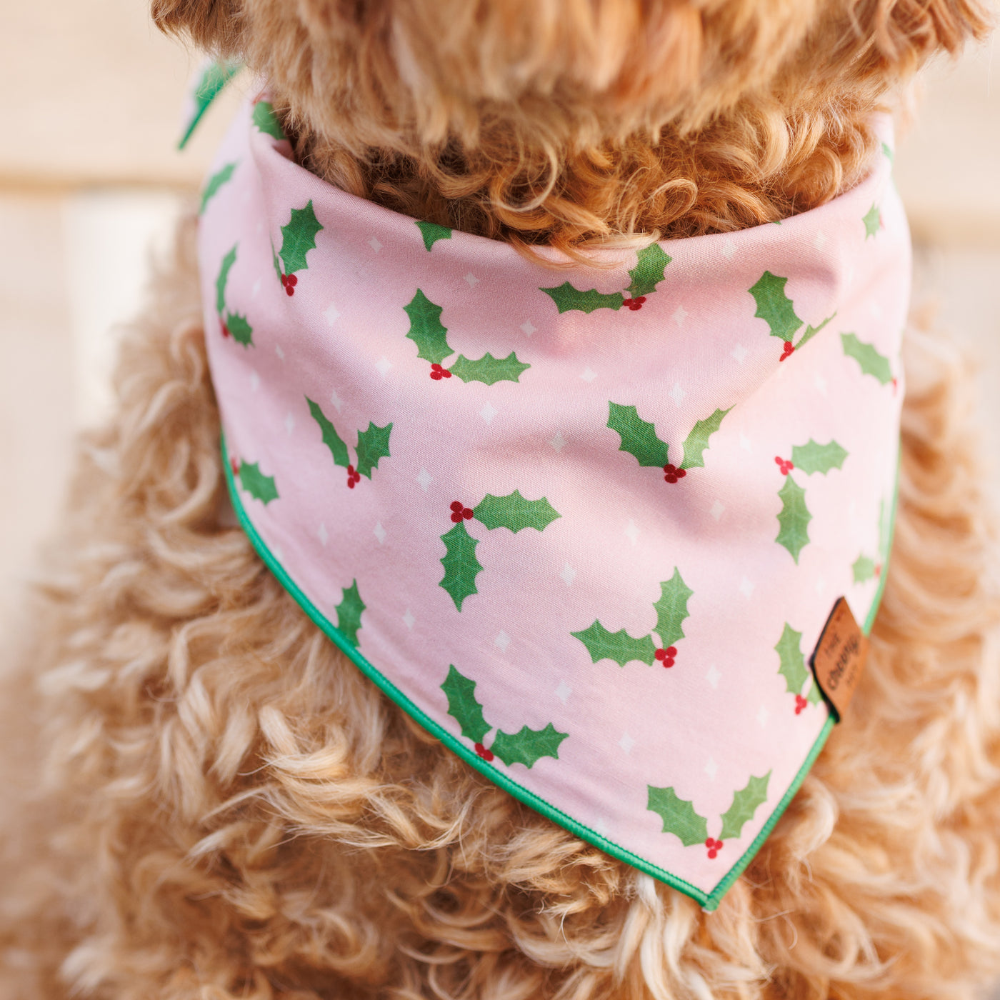 Holly Pet Bandana - Pink