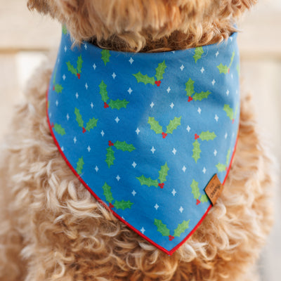 Holly Pet Bandana - Blue