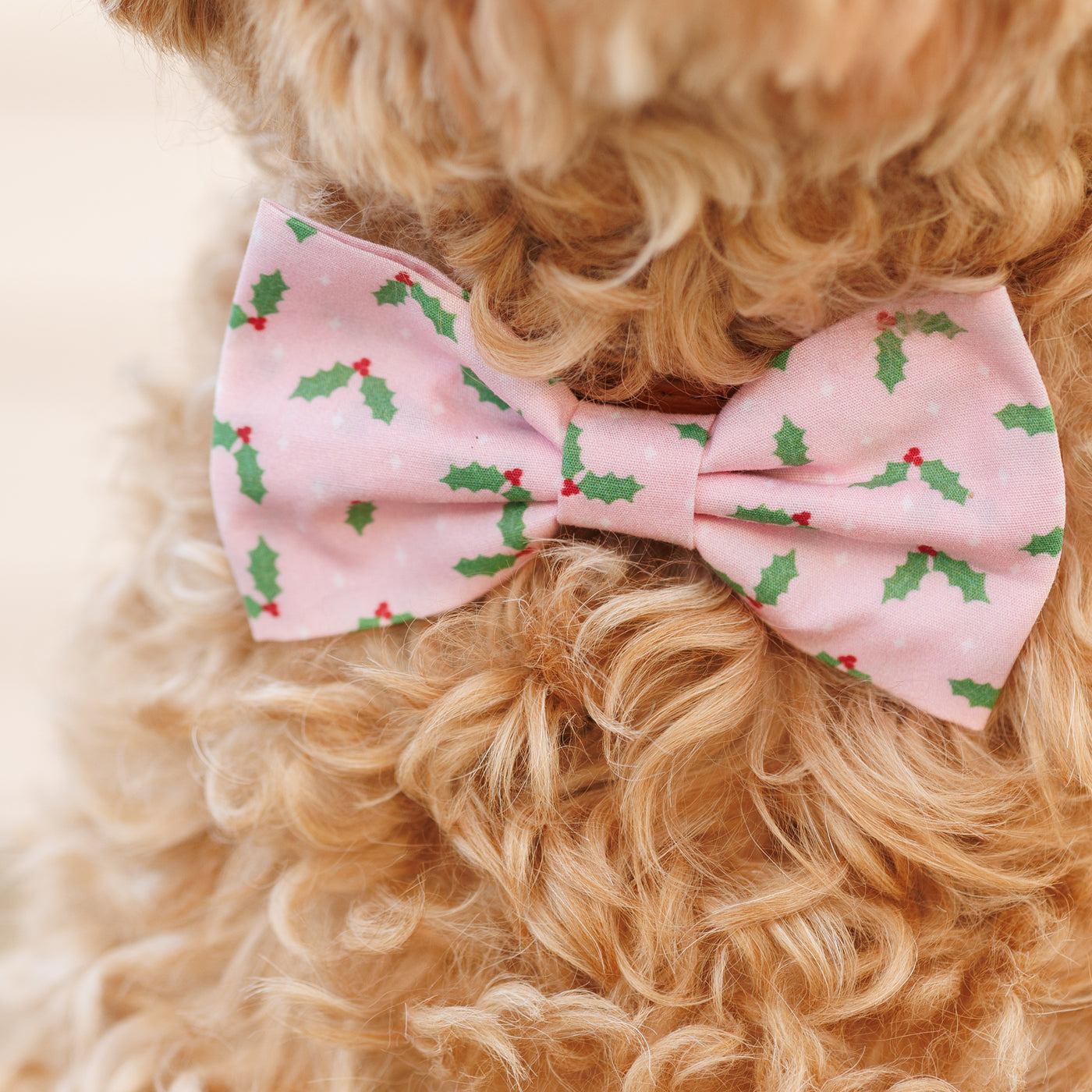 Holly Bow Tie - Pink