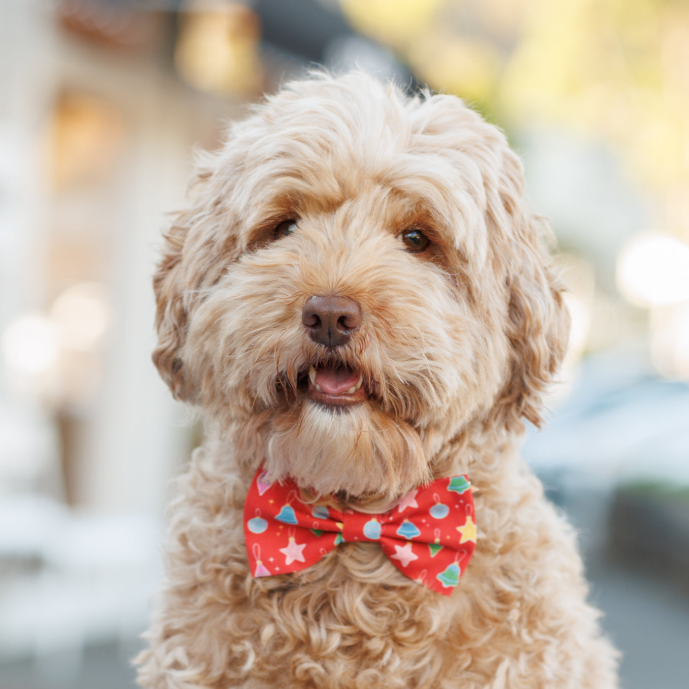 Christmas Ornaments Bow Tie