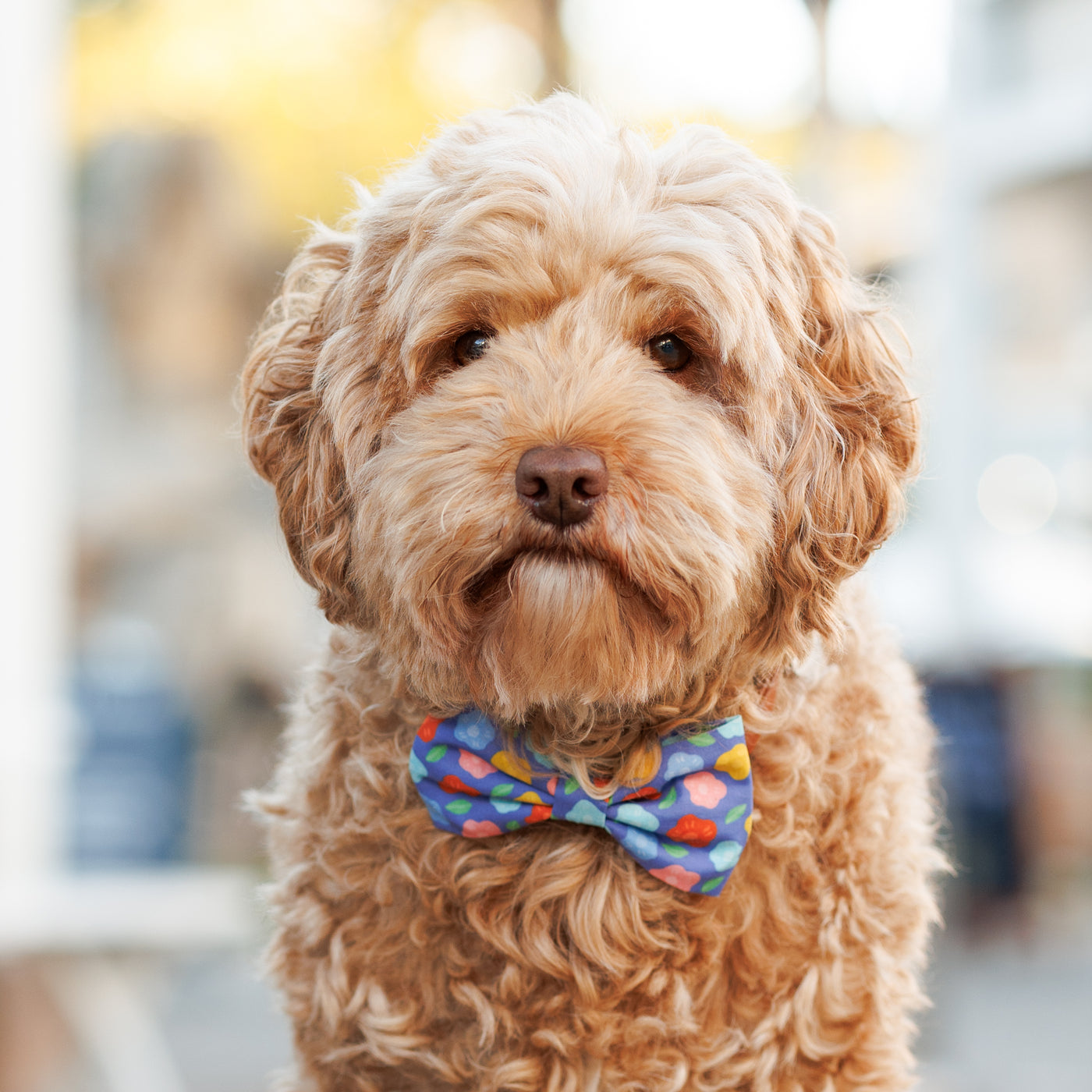 Bold Blooms Bow Tie