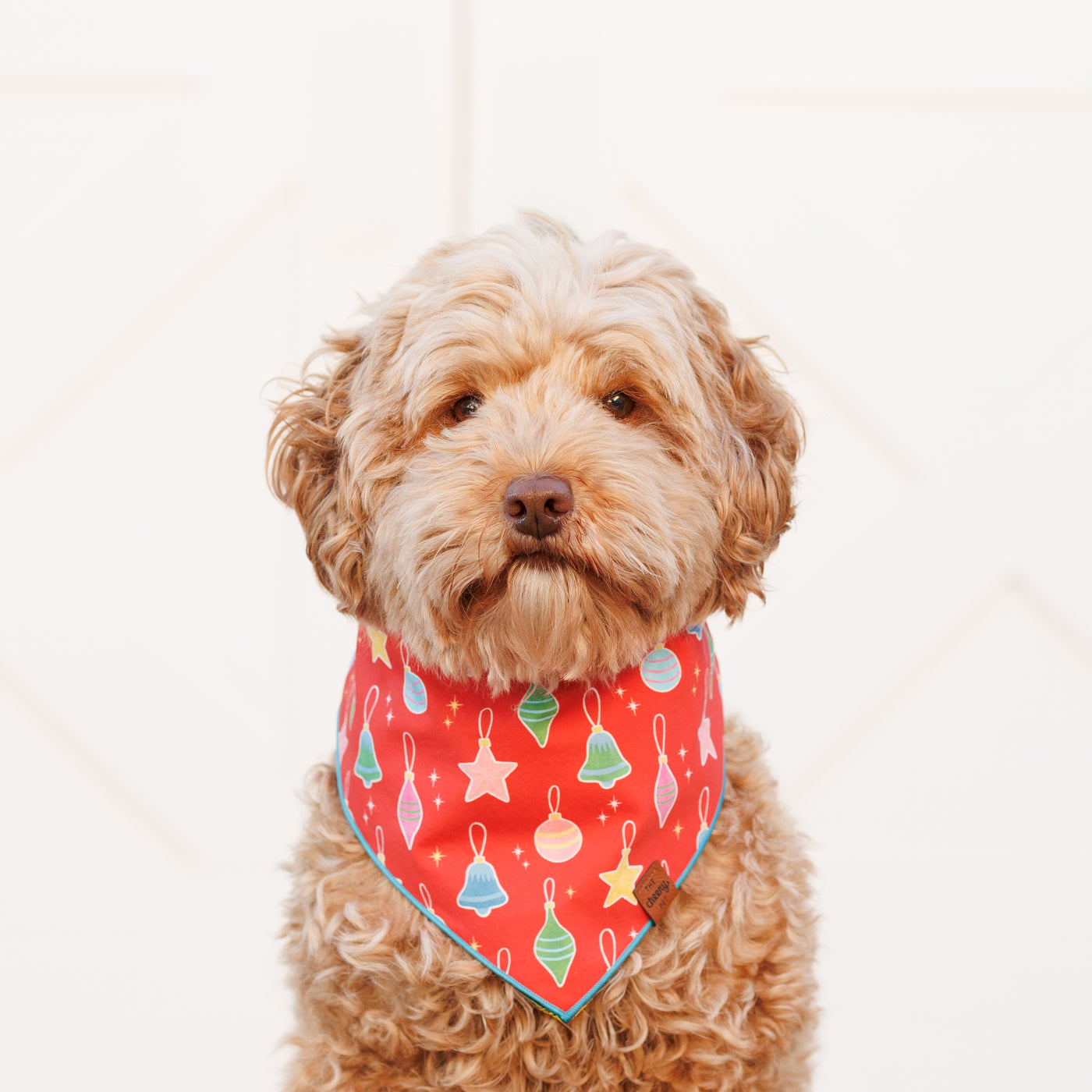 Christmas Ornament Pet Bandana