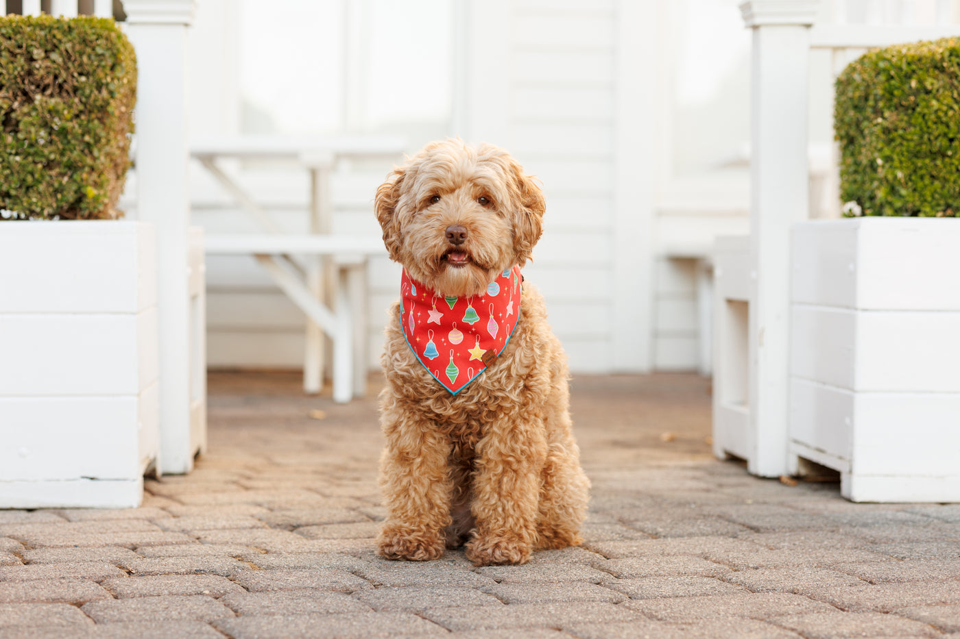 Christmas Ornament Pet Bandana