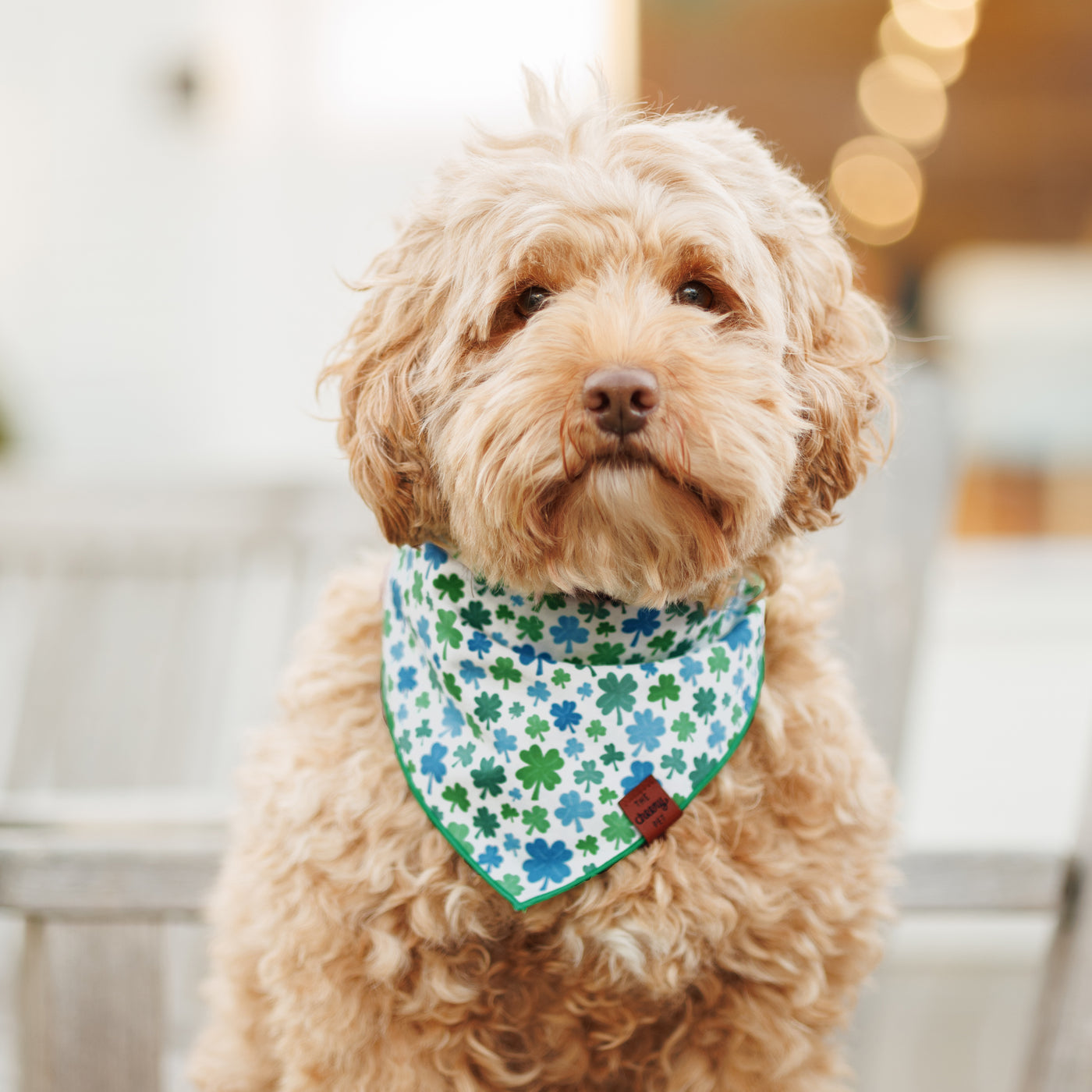 Clover Bandana - White