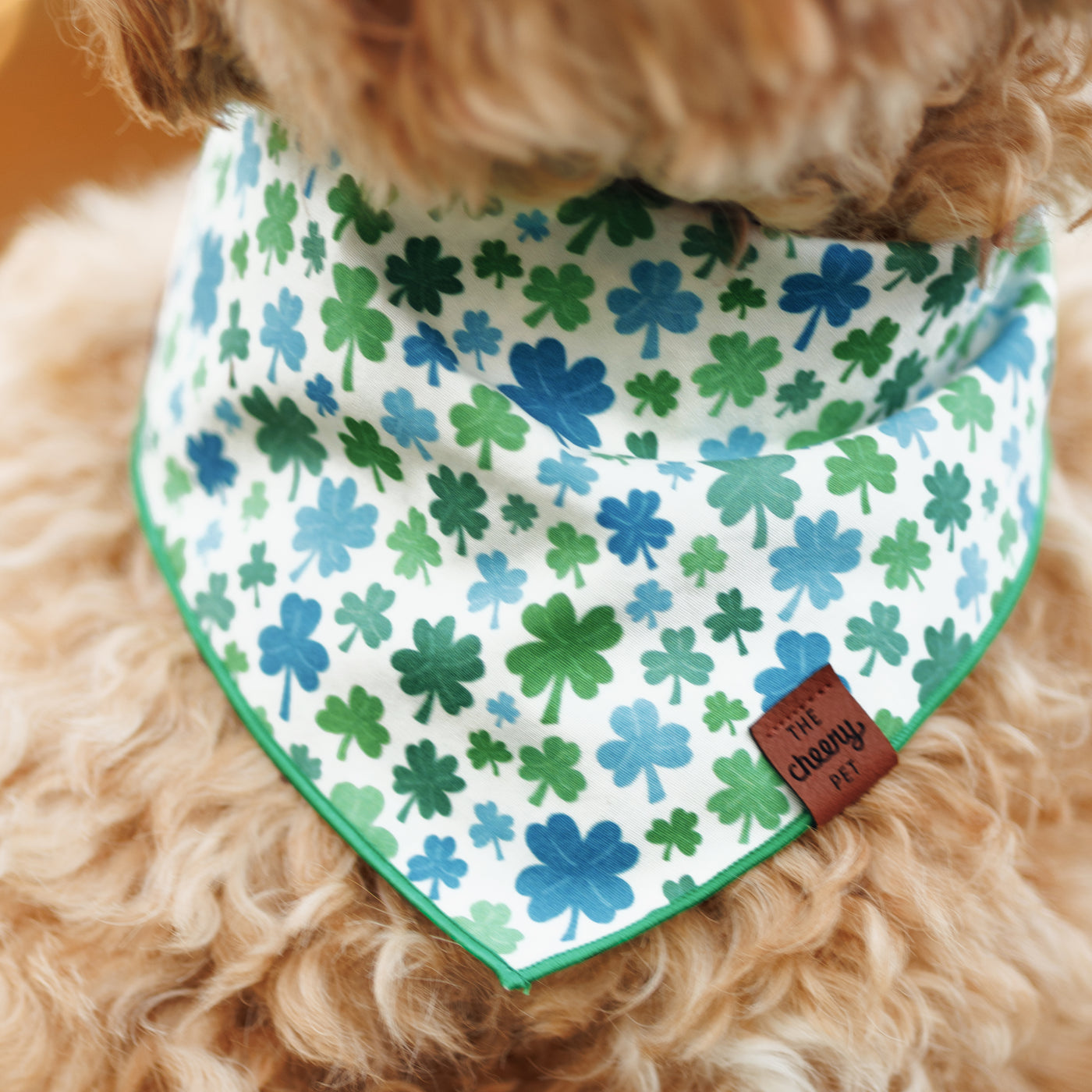 Clover Bandana - White