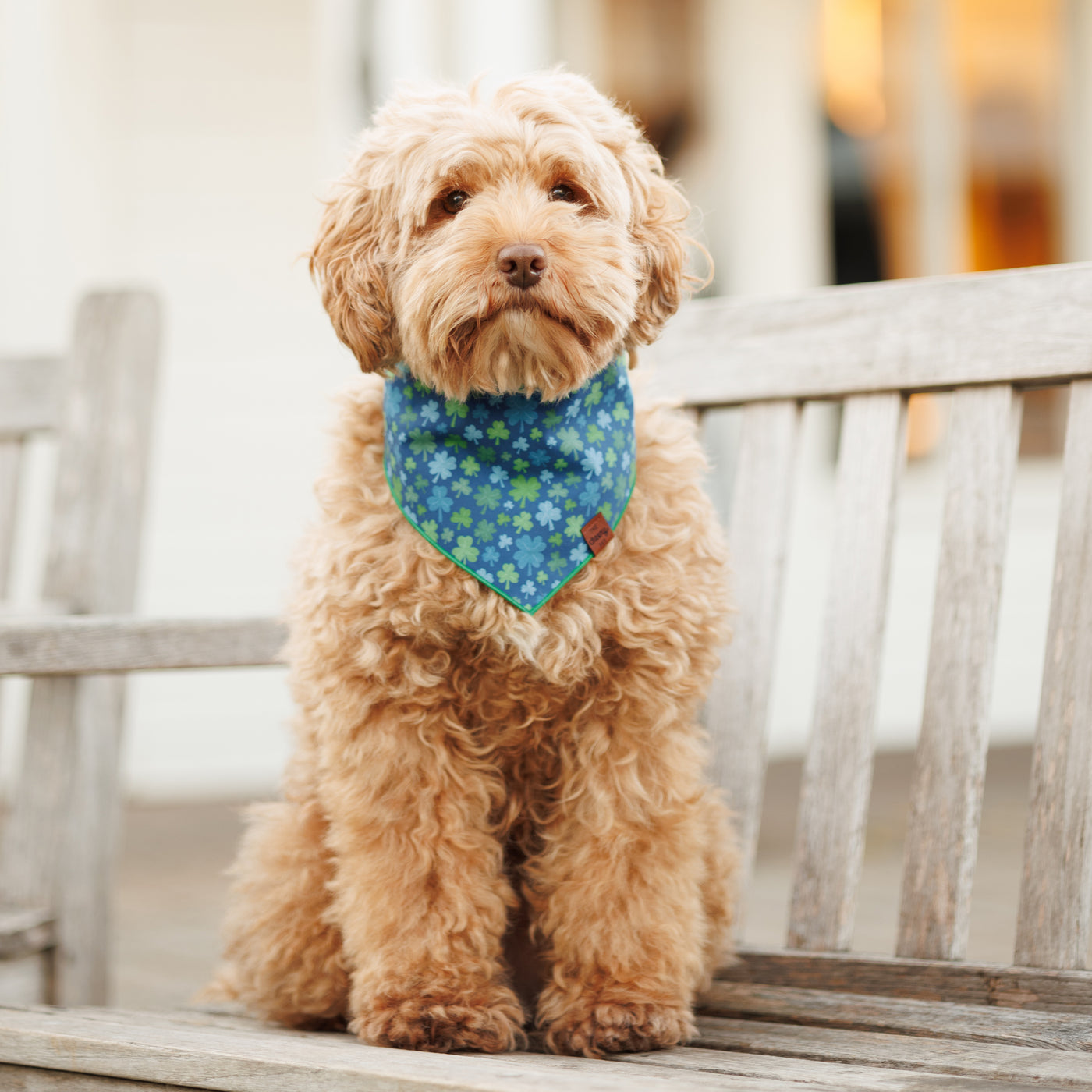 Clover Bandana - Blue