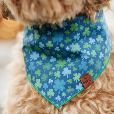 Clover Bandana - Blue