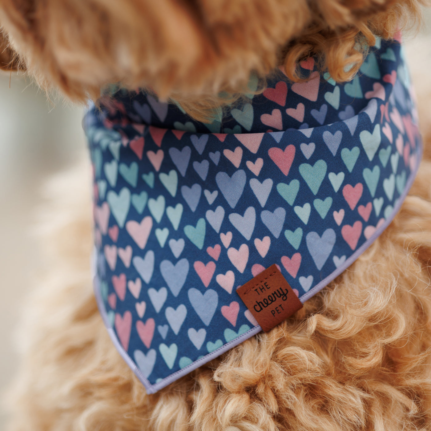 Hearts Pet Bandana - Blue