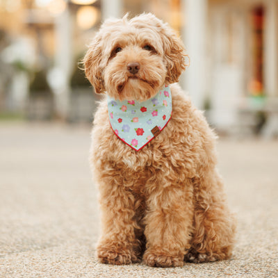 Fleurs Bandana