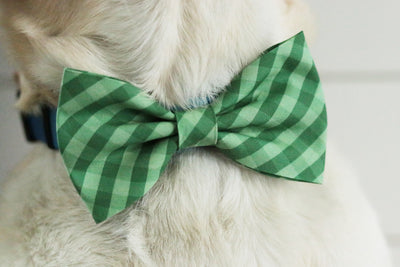 Green Check Bow Tie