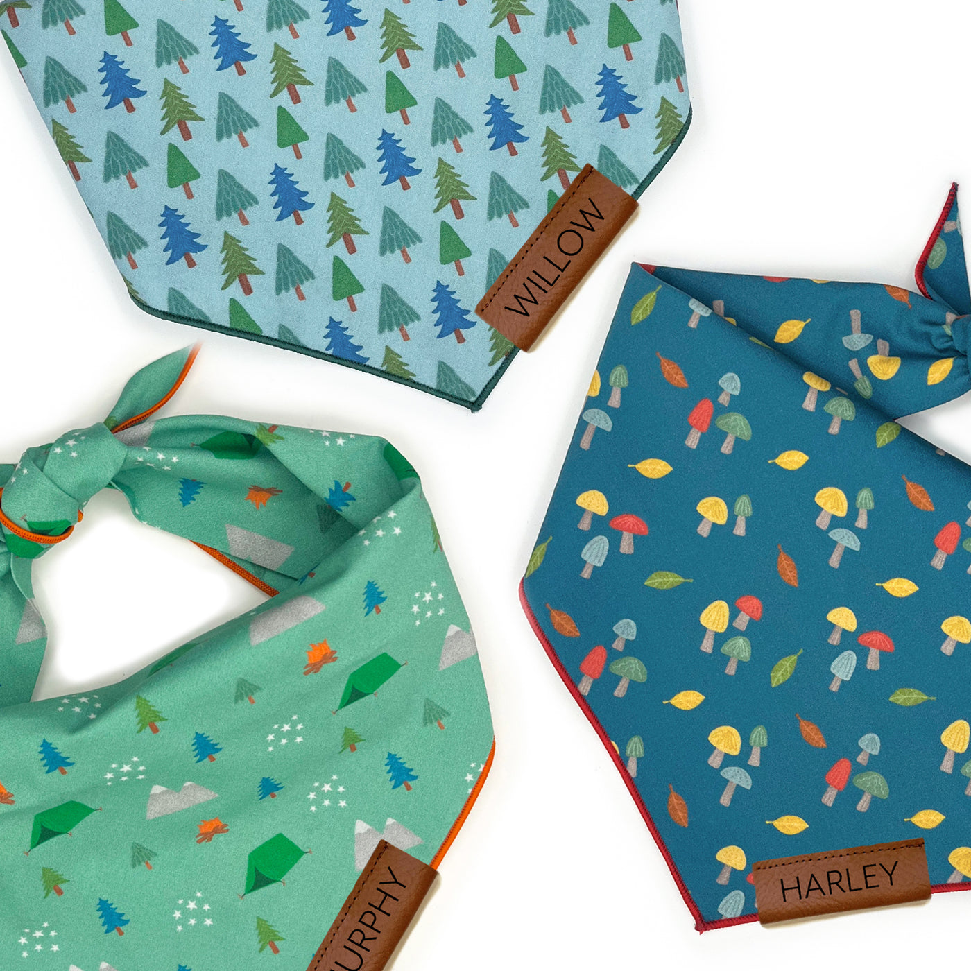 Outdoorsy Bandana Bundle