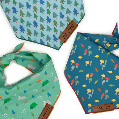 Outdoorsy Bandana Bundle