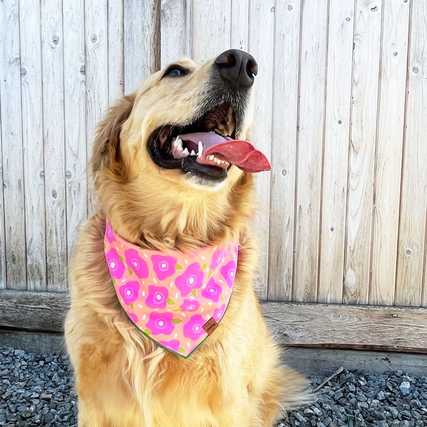 Floral Bandana Bundle