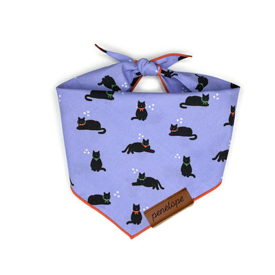 Black Cats Pet Bandana