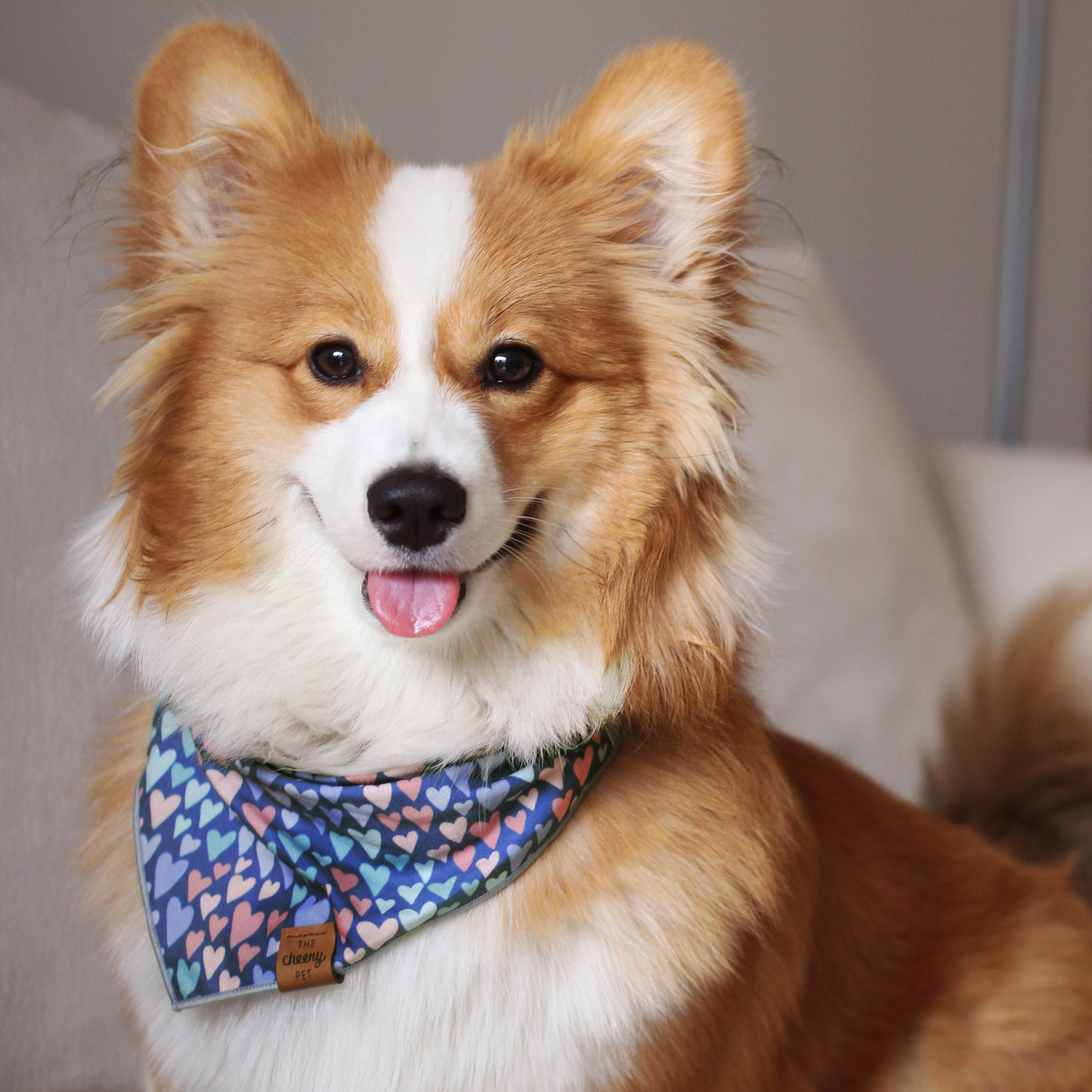 Hearts Pet Bandana - Blue