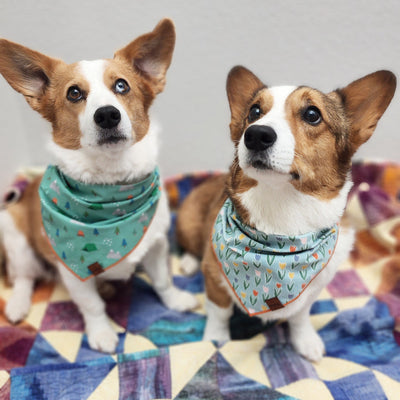 Hearts Pet Bandana