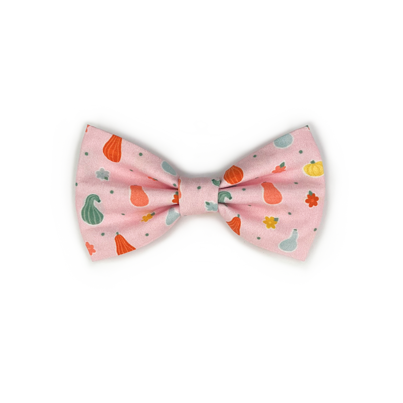 Gourds Bow Tie