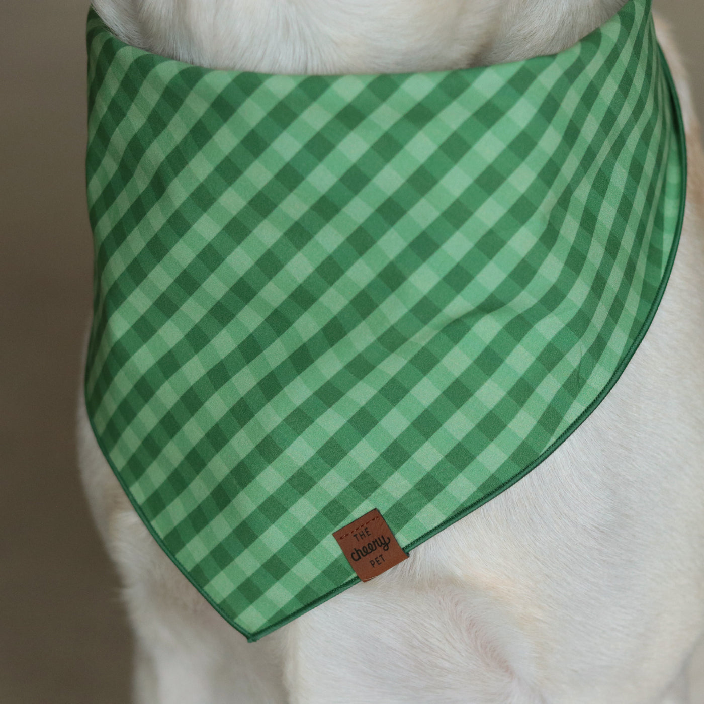 Green Check Bandana