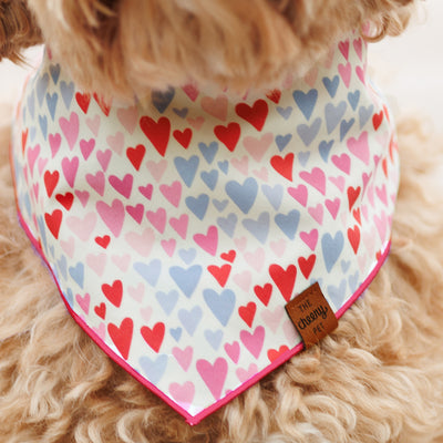 Hearts Bandana - Pink