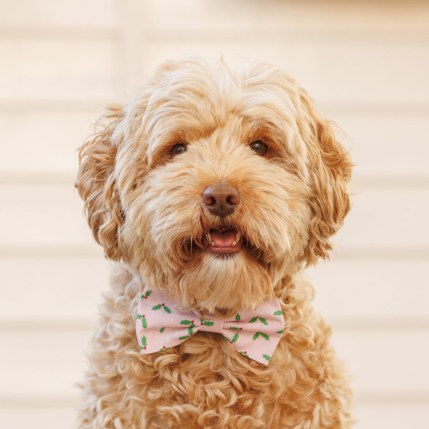 Holly Bow Tie - Pink