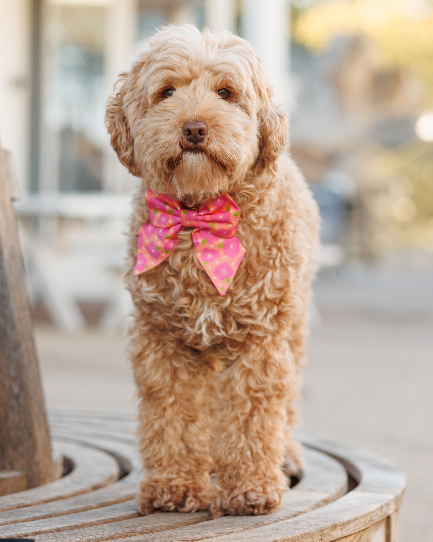 Hot Pink Flowers Sailor Bow