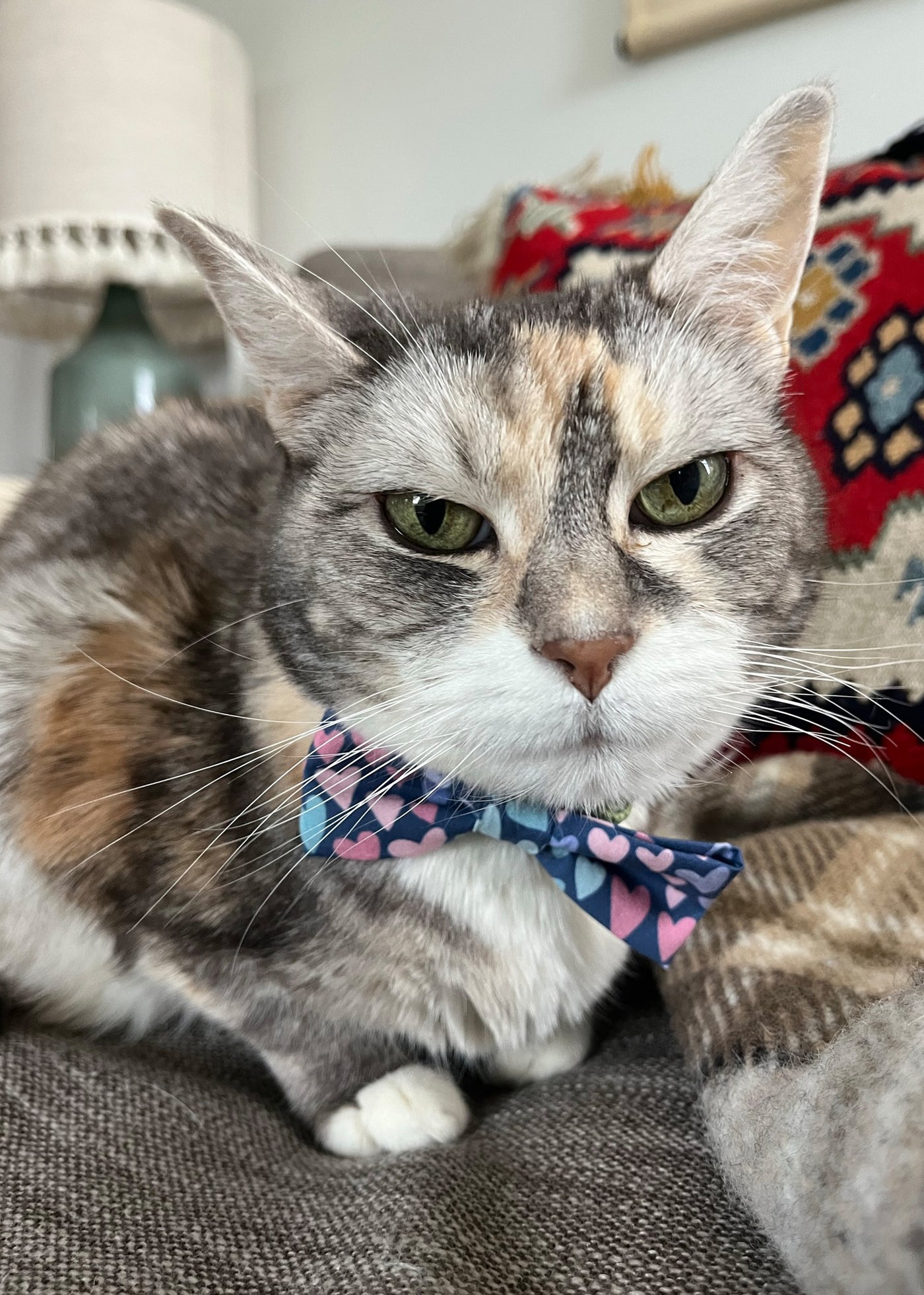 Pink Floral Bow Tie