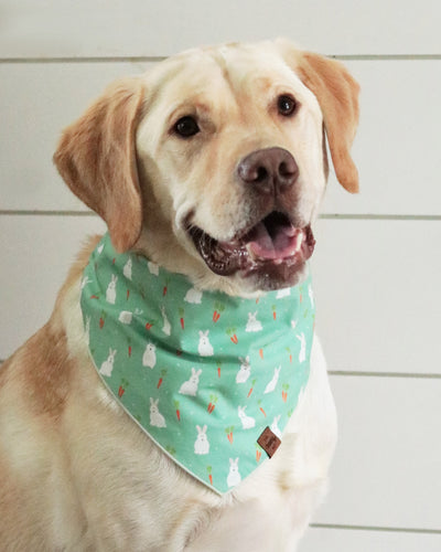 Bunny Patch Bandana