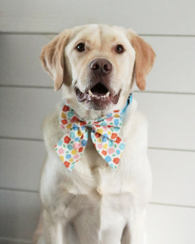 Sunny Blossoms Sailor Bow