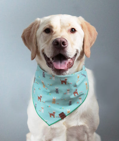 Bunny Pups Pet Bandana