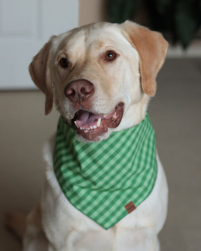 Green Check Bandana