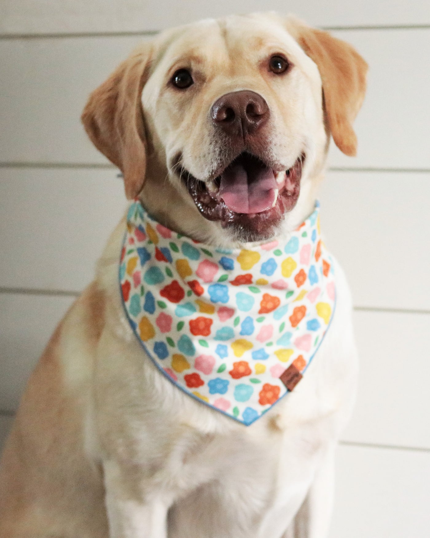 Sunny Blossoms Bandana