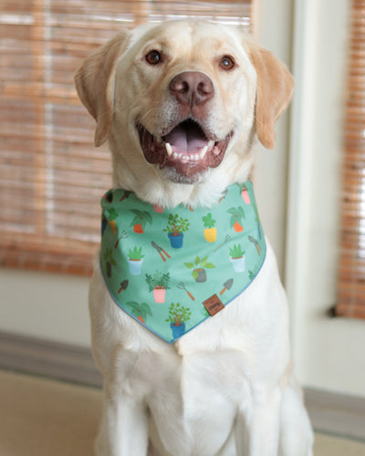 House Plants Pet Bandana