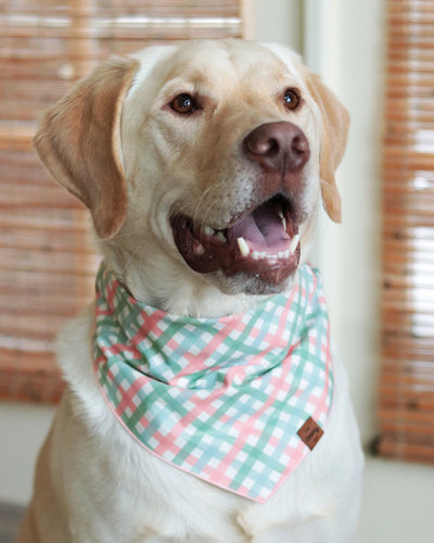 Pastel Check Bandana