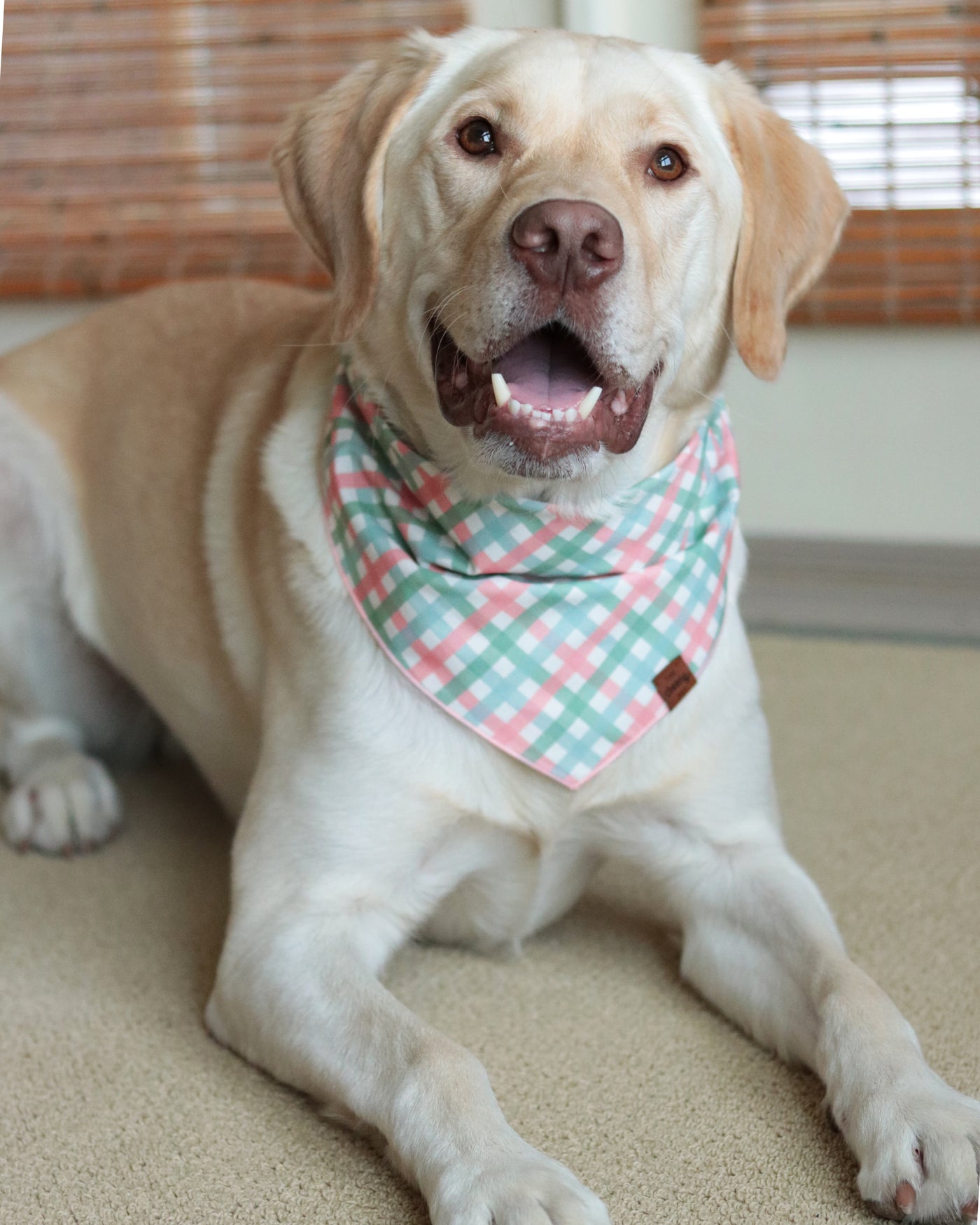 Pastel Check Bandana