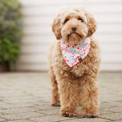 Hearts Bandana - Pink