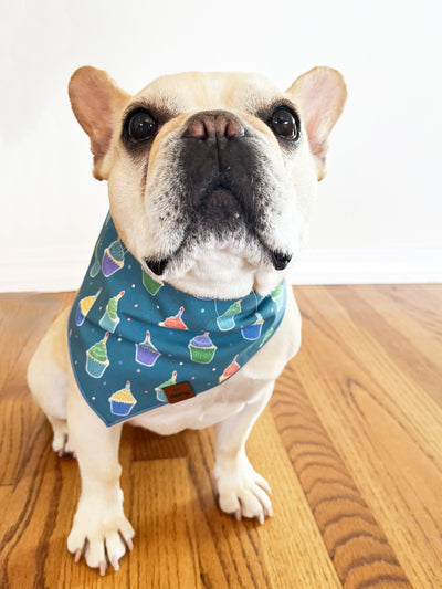 Pupcakes Pet Bandana - Teal