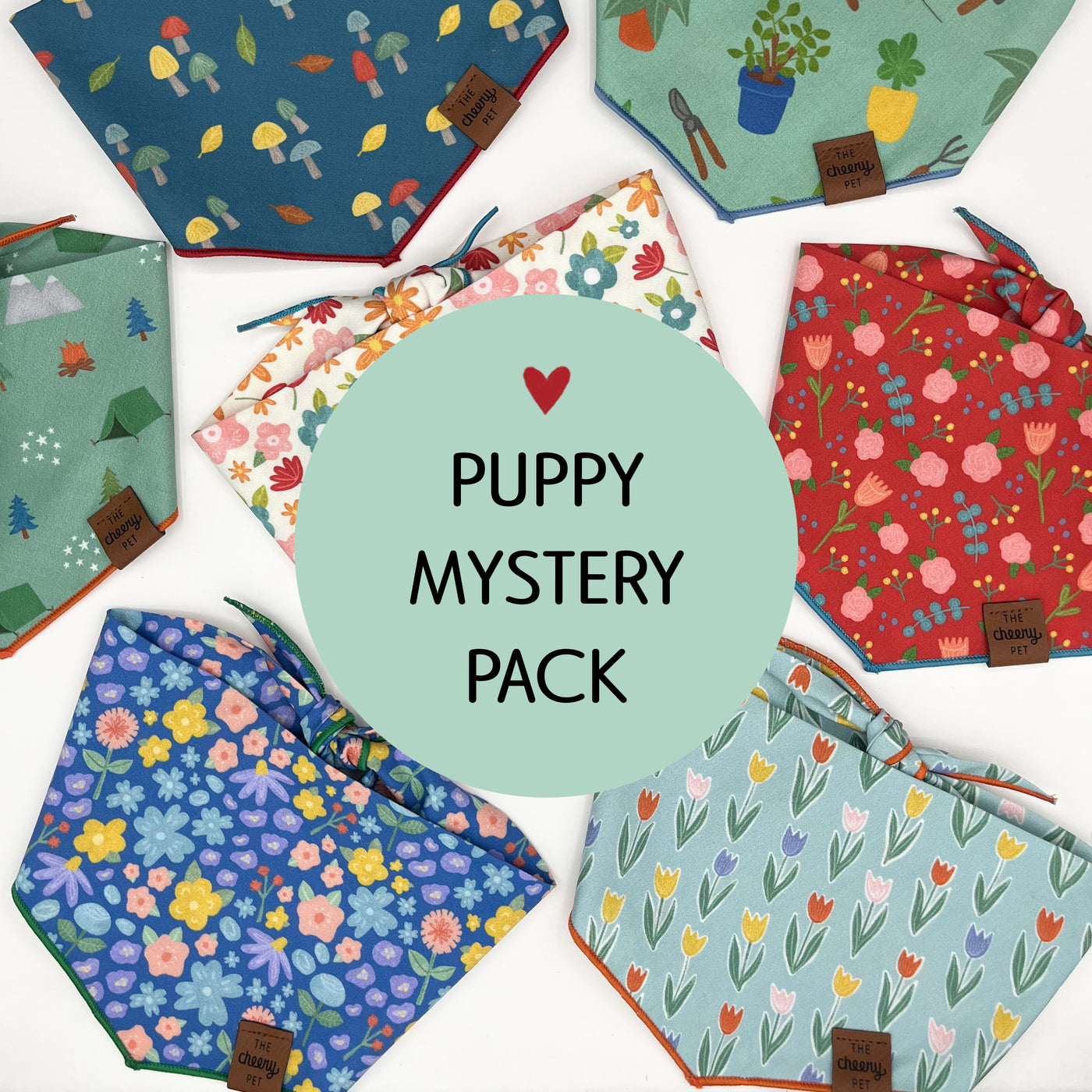 Puppy Mystery Pack