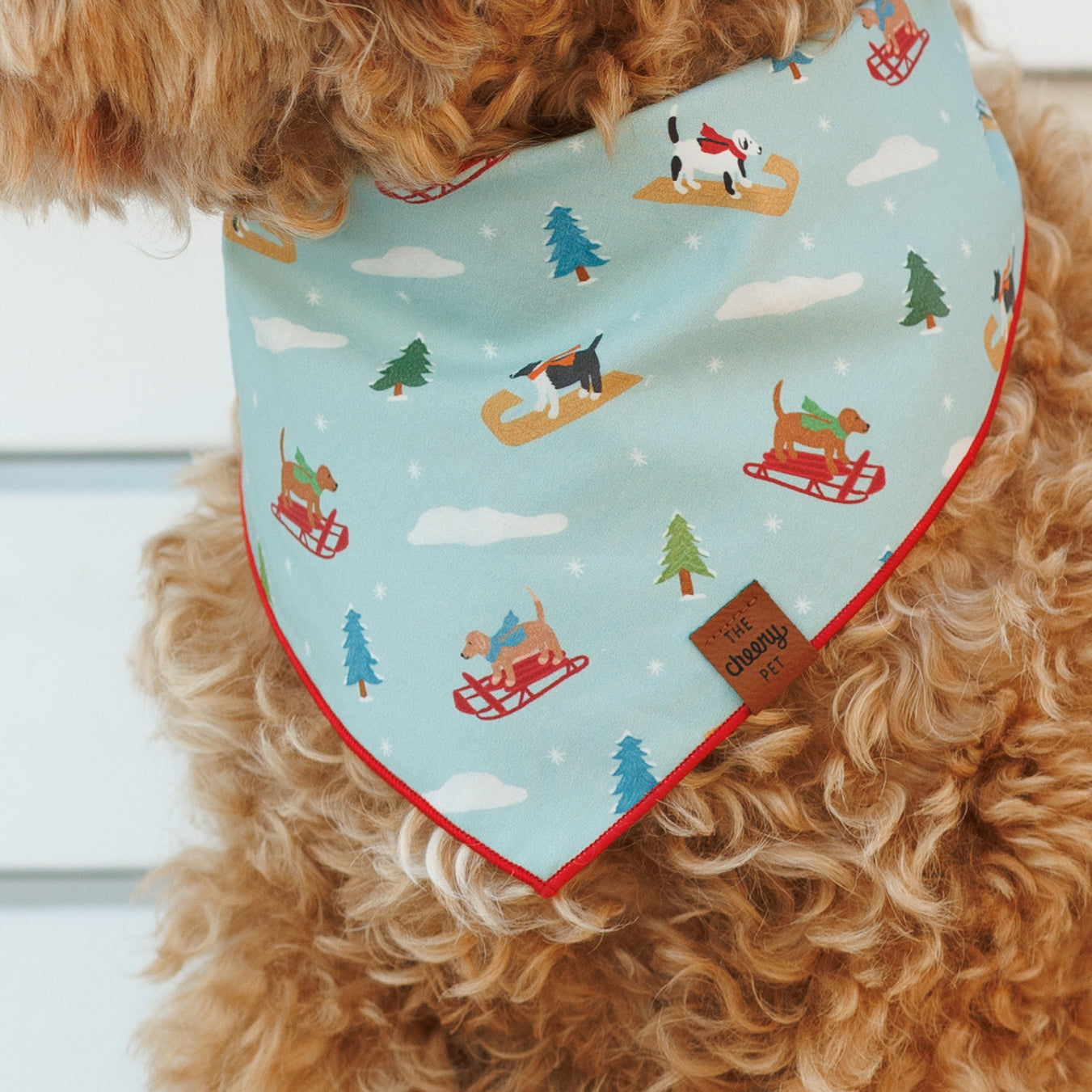 Sledding Dogs Pet Bandana