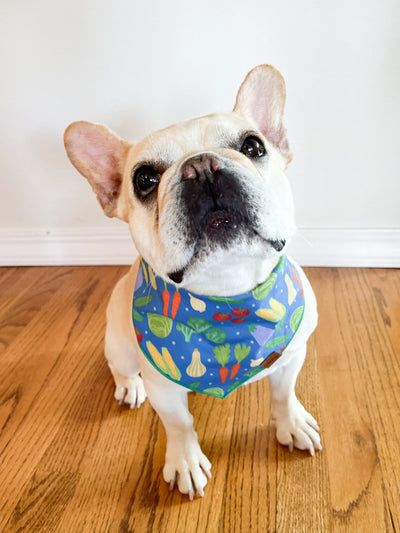 Veggies Pet Bandana