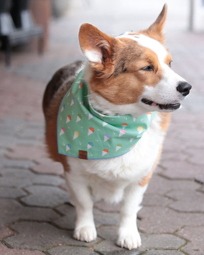 Snow Cones Pet Bandana