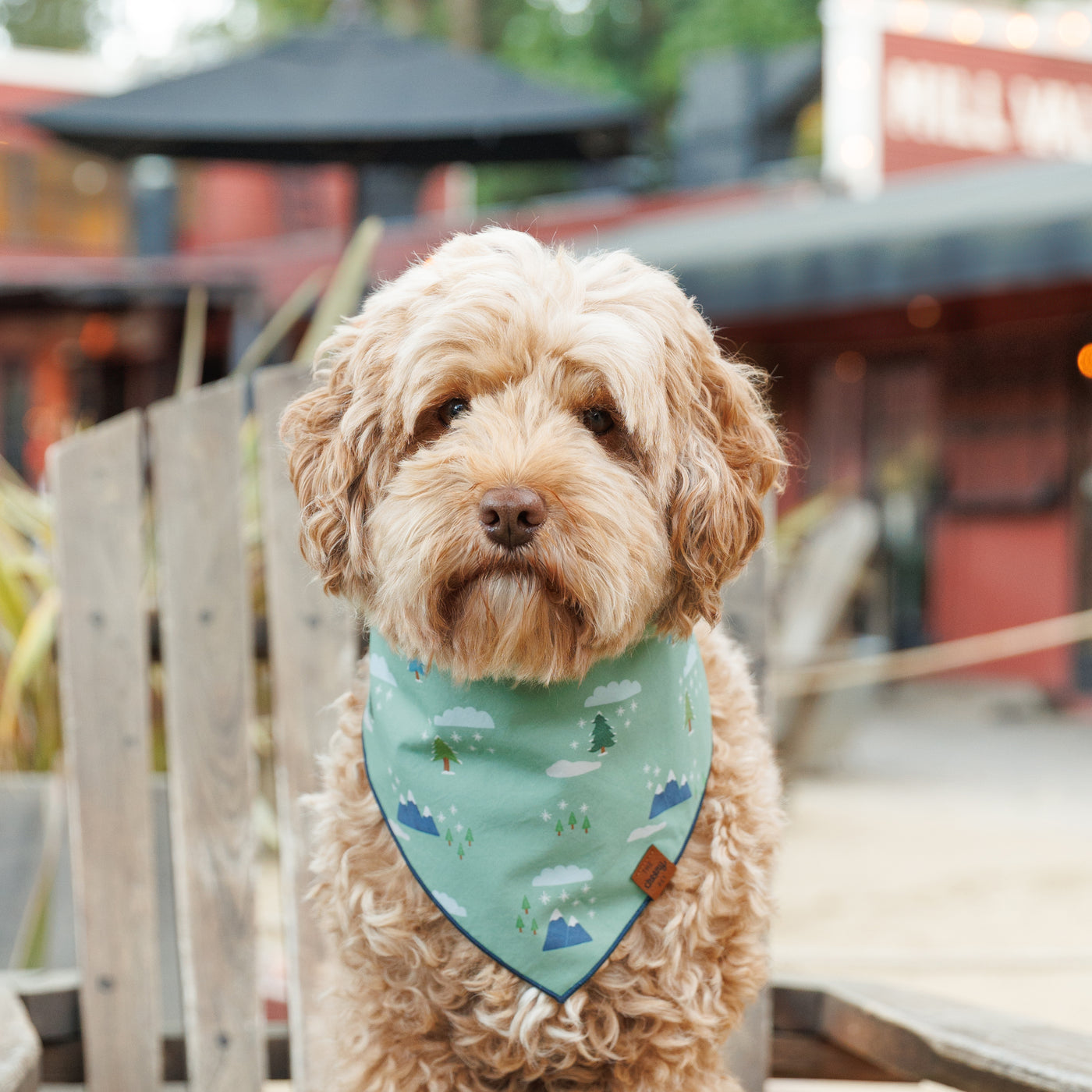 Snowy Mountains Pet Bandana