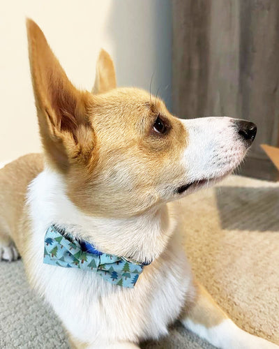 Red Floral Bow Tie