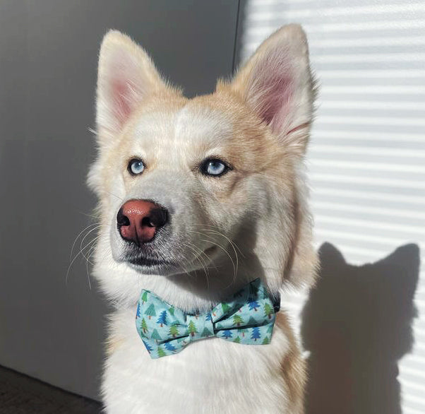 Pine Trees Bow Tie