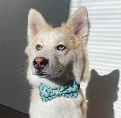 Pine Trees Bow Tie