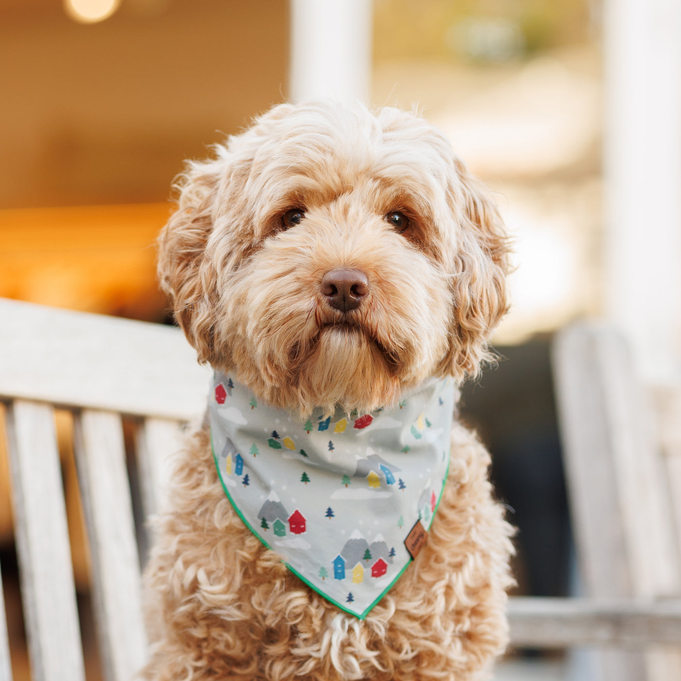 Winter Village Pet Bandana